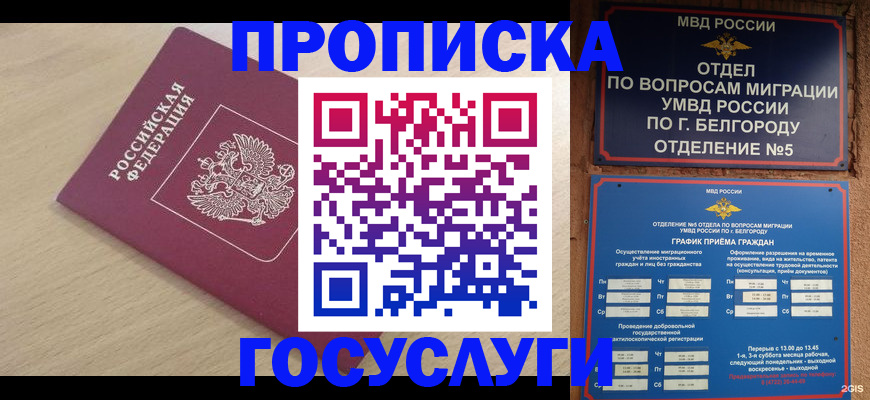 прописка законно в Торопеце